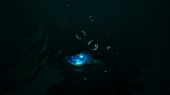 Screenshot Voice of the Ocean