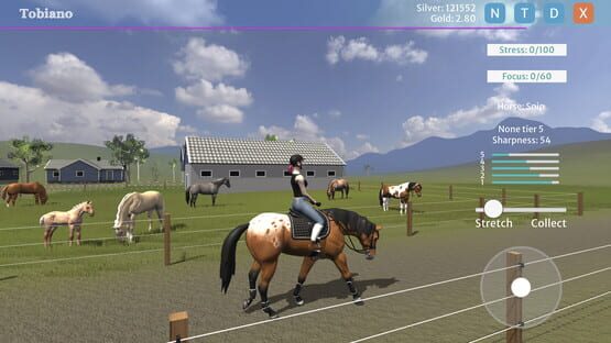Screenshot Tobiano