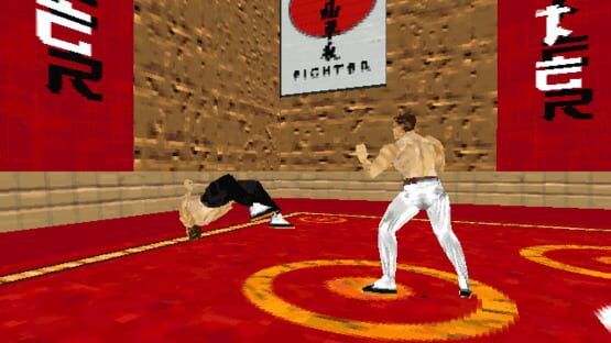 Screenshot Karate Fighter