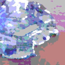Cover The Clotted Island