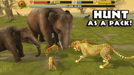 Screenshot Cheetah Simulator