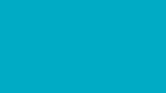 Screenshot Grayout