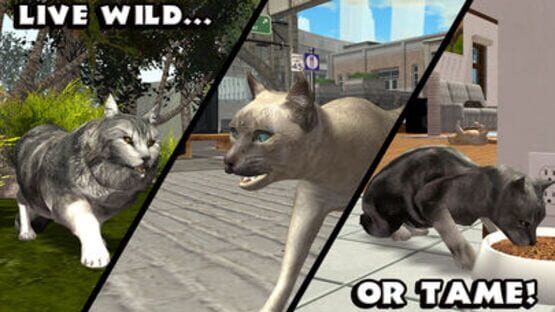 Screenshot Ultimate Cat Simulator