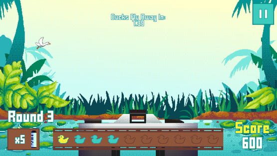 Screenshot Duck Shoot