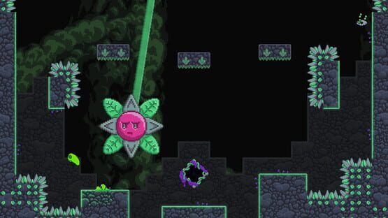 Screenshot The True Slime King
