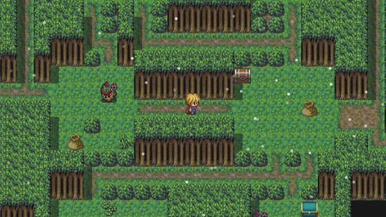 Screenshot Roguelite 2