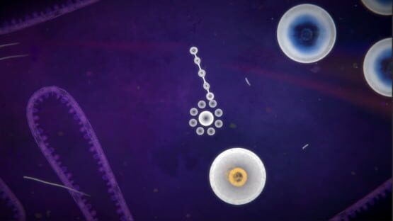 Screenshot Focus Find