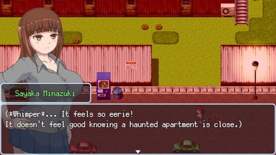 Screenshot Sayaka's Addiction