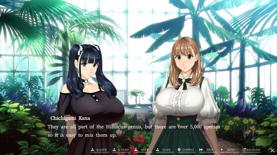 Screenshot Welcome to Maison Chichigami