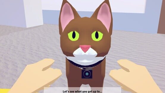 Screenshot Point of Mew