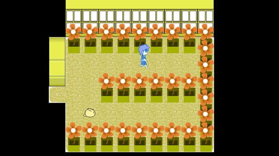 Screenshot Rainbow City