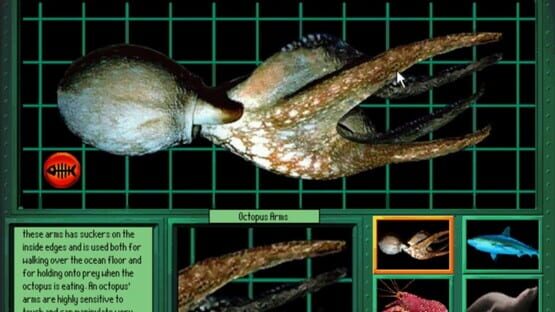 Screenshot Undersea Adventure