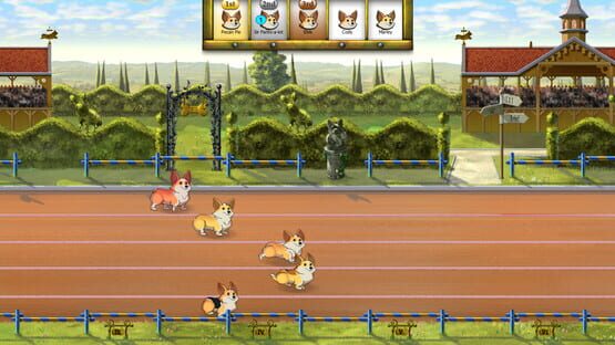 Screenshot Corgi Race