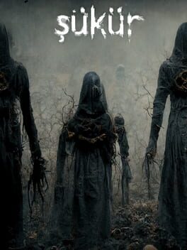 Cover Şükür