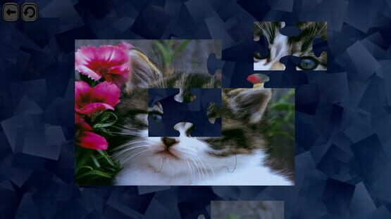 Screenshot Puzzles for smart: Cats