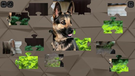 Screenshot Puzzles for smart: Dogs