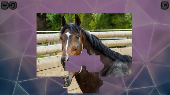 Screenshot Puzzles for smart: Horses