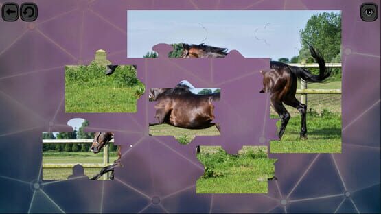Screenshot Puzzles for smart: Horses