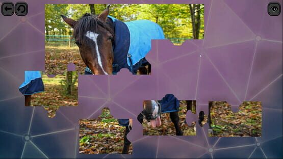 Screenshot Puzzles for smart: Horses