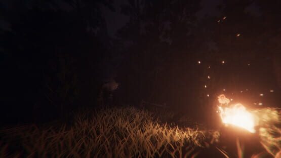 Screenshot Slender: New Hope