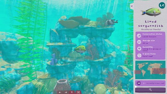Screenshot Turquoise