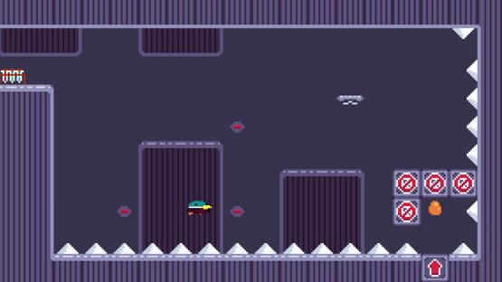 Screenshot Anatidae