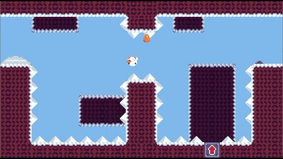 Screenshot Anatidae