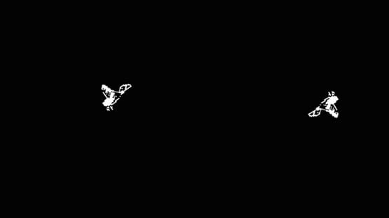 Screenshot Bird-Shot