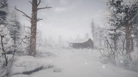 Screenshot Northern Lights