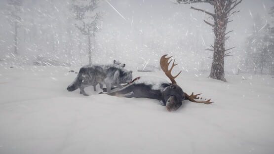 Screenshot Northern Lights