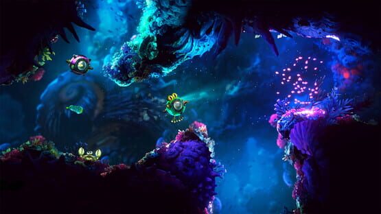 Screenshot Nautus