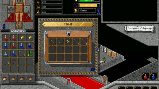 Screenshot Dungeon Odyssey