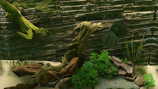 Screenshot Biotope: Aquarium Simulator