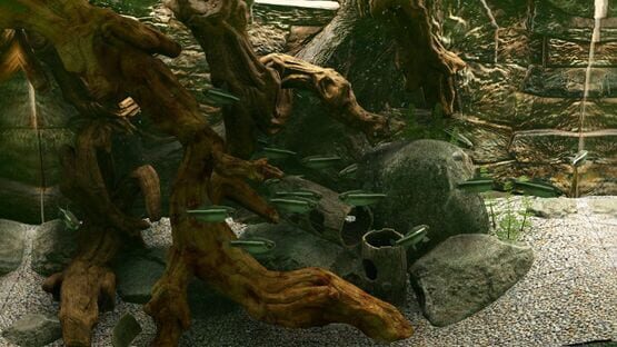 Screenshot Biotope: Aquarium Simulator