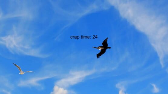 Screenshot Kai's Bird Game, by Kai