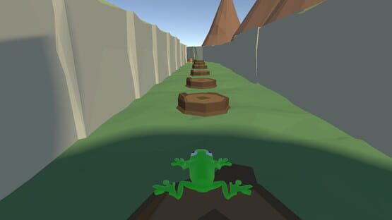 Screenshot A Frog in a Small Pond