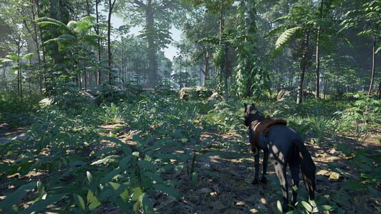 Screenshot Aatral Origins