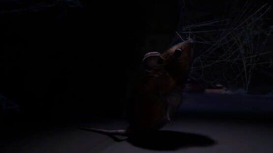 Screenshot About a Mouse
