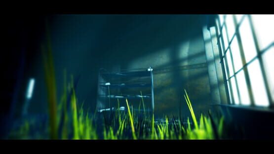Screenshot Acanthoceras