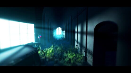 Screenshot Acanthoceras