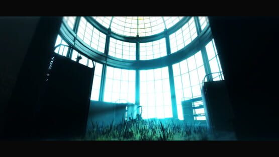 Screenshot Acanthoceras
