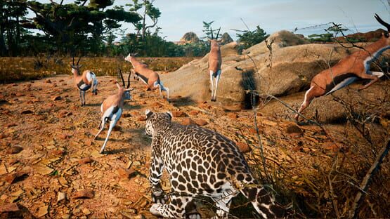 Screenshot Animalia Survival