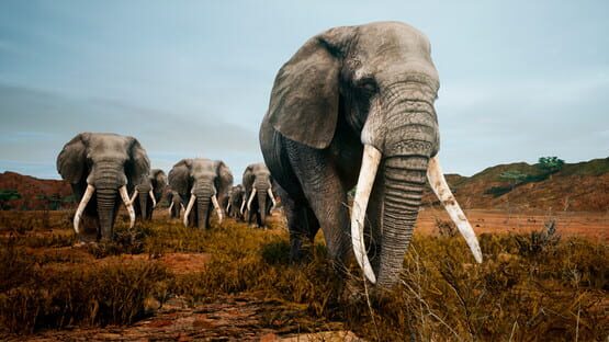 Screenshot Animalia Survival