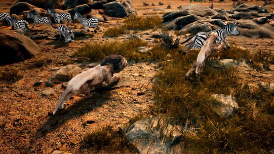 Screenshot Animalia Survival
