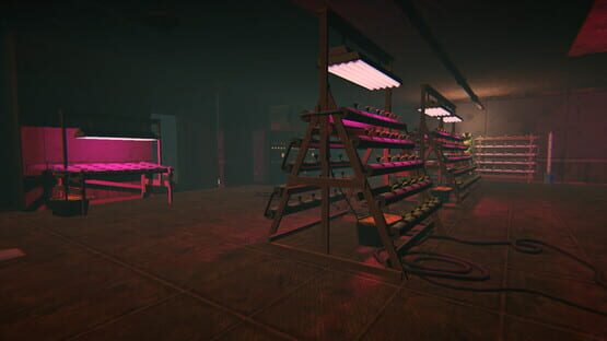 Screenshot Anomaly Protocol