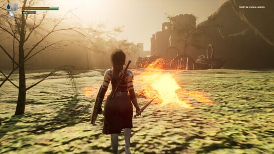 Screenshot Assassin of Dragon