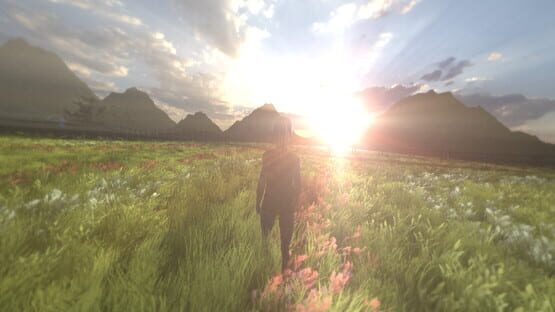 Screenshot Aversion
