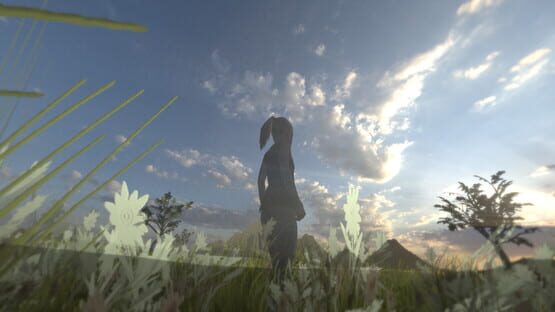 Screenshot Aversion