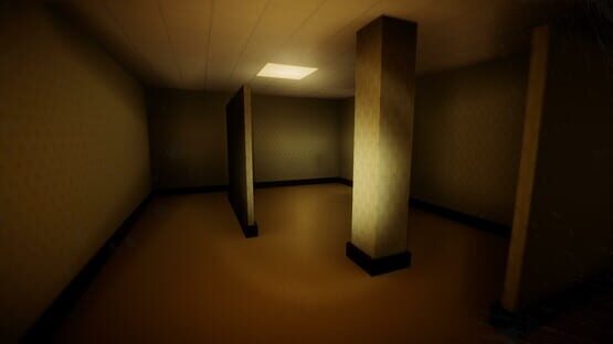 Screenshot Backrooms: What's Next