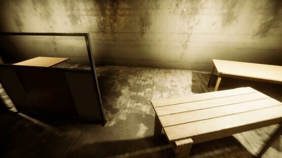 Screenshot Backrooms: What's Next